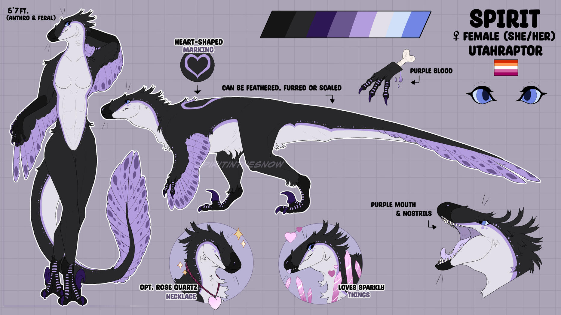 Spirit's Reference Sheet (credits: @spiritinthesnow)